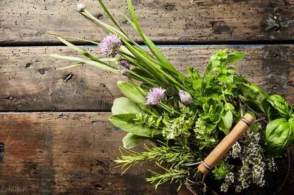 诗经小雅采薇的注释和含义(采薇《诗经·小雅》原文及翻译)