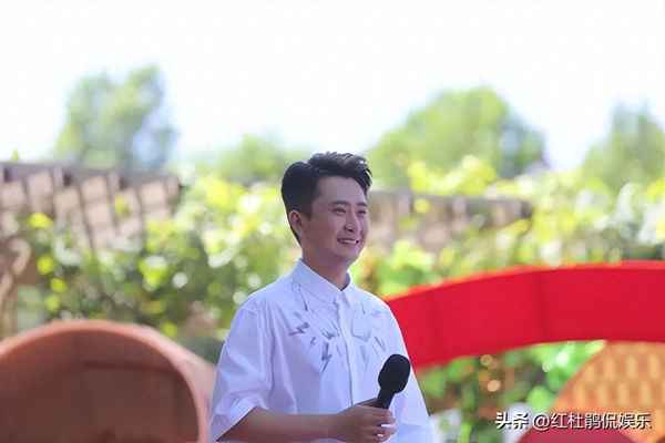 杨帆退出央视了吗_杨帆怎么不主持春晚