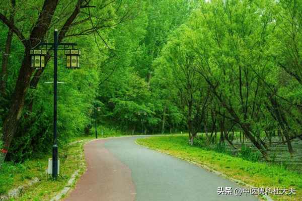 行房中途軟了是怎么回事-陽瘺的最佳治療方法是什么