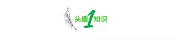 世界上最變態的蛋糕_世界上最變態的蛋糕是什么