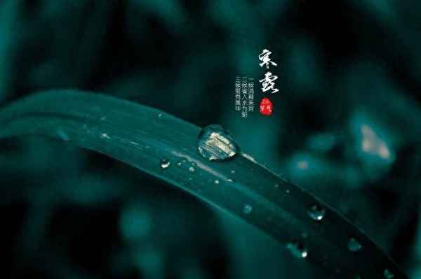 重陽節是哪一年開始的;最早的重陽節