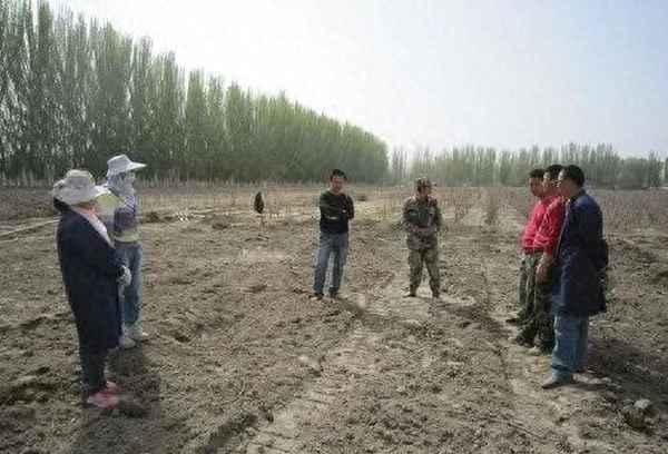 去新疆种地需要什么条件(普通人到新疆投资什么好)