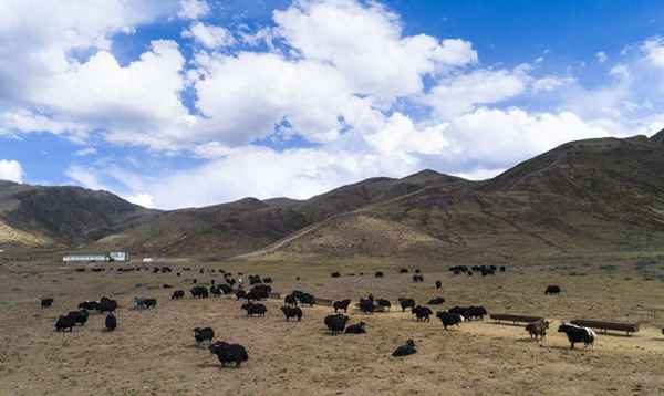 江苏援藏干部名单—江苏援藏干部名单最新