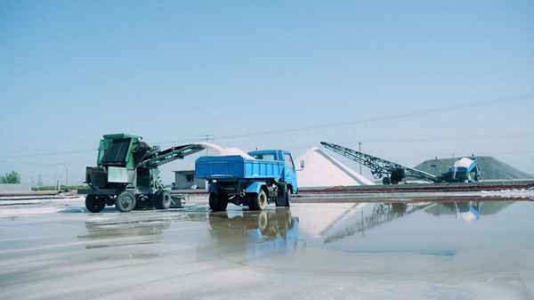 山东盐业集团有限公司_山东盐业集团有限公司电话