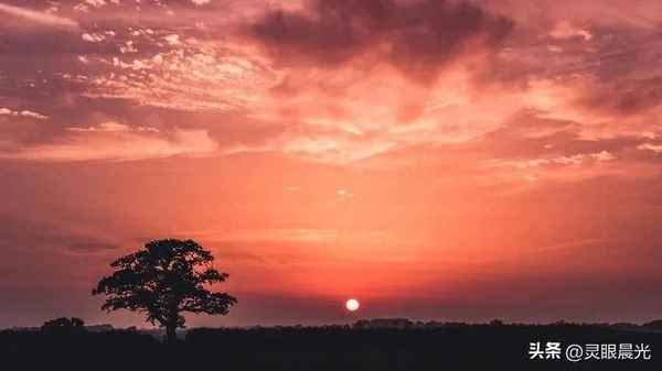 形容老師聰明的詞語(yǔ)(形容老師聰明的詩(shī)句)