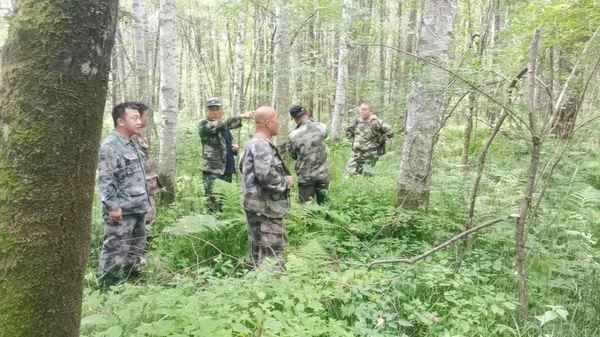 林業驗收報告范本_林業驗收申請怎么寫