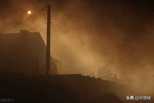 焦點新聞今日焦點,焦點新聞在線觀看