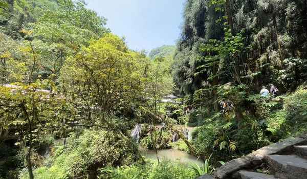 青城后山有哪些景點,青城后山有哪些景點可以玩