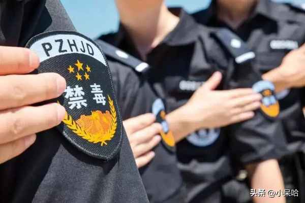 電視劇金三角_電視劇金三角免費(fèi)