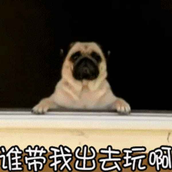 南亚风情园到七彩云南欢乐世界、昆明南亚风情园有什么好玩的