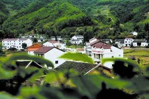 農業設施用地建廠房算違建嗎(農業設施用地申請報告)