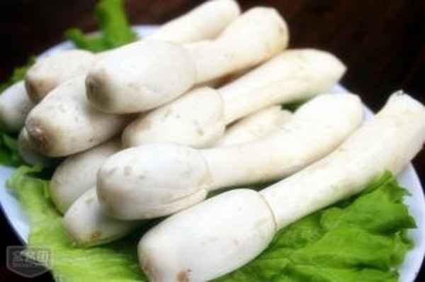 蝦仁雞腿菇的功效,蝦仁雞腿菇怎么做