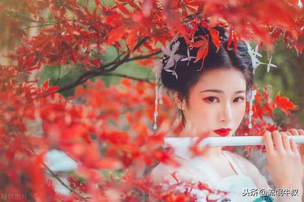 牛叔财经_牛叔视频