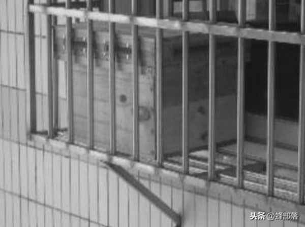 有蜜蜂要开灯还是关灯-马蜂在房间不飞出去怎么办