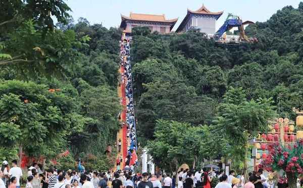 森林公園門票多少錢一張(茂名森林公園門票多少錢一張)