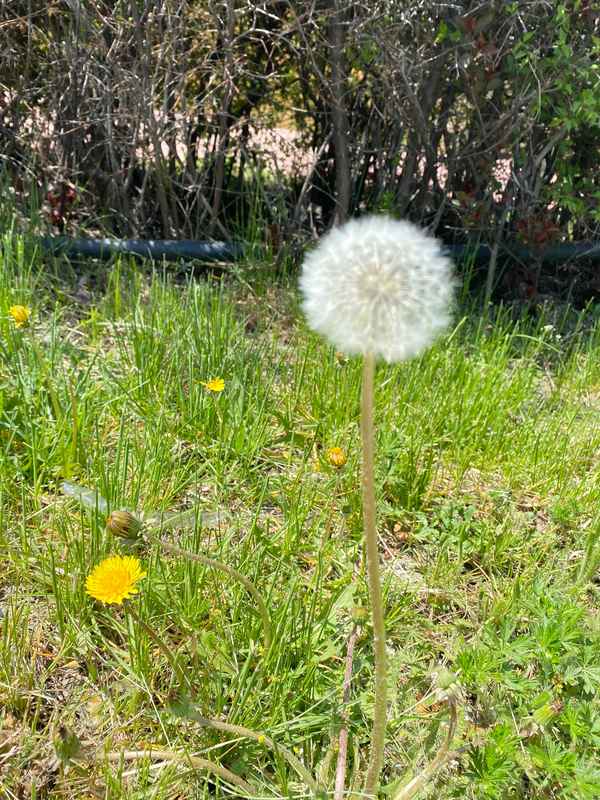 月度数据转换为季度数据、月度数据转换为季度数据 excel 数据透视表