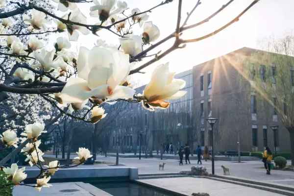 中央财经大学招生网,中央财经大学研究生官网招生网