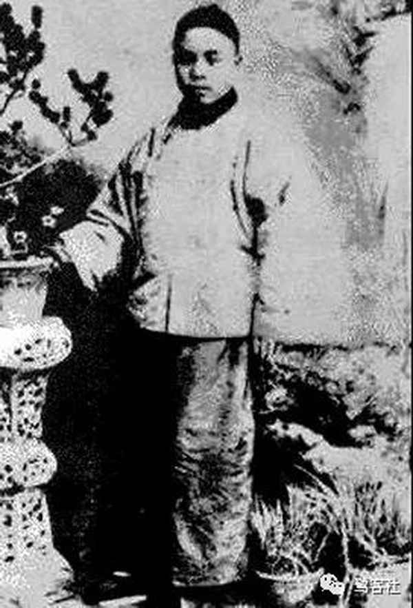 林则徐和林纾的关系(林则徐关系图)