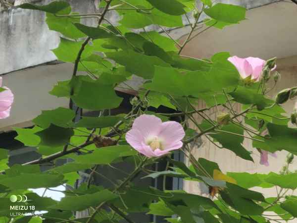 長沙南站售票處電話—長沙南站售票口