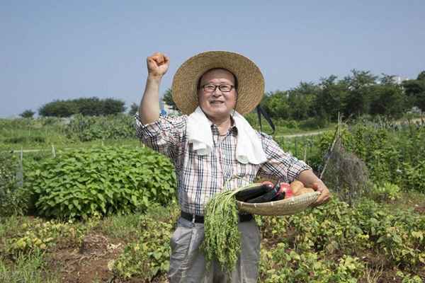 世界十大農業強國,世界農業實力排名