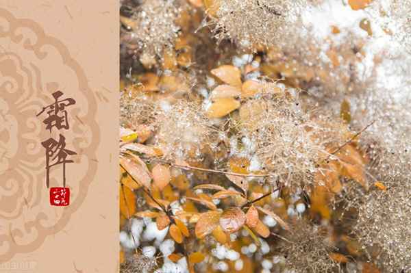 紅棗燉什么湯好喝—紅棗煲什么湯