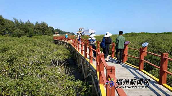 廣東金海灣在哪里,廣東金海灣是縣嗎