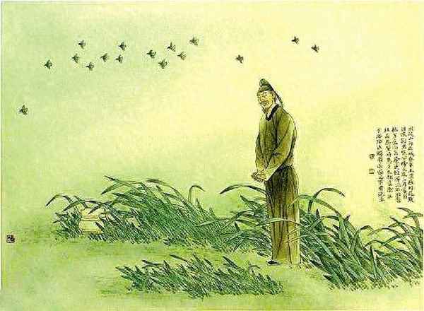 春望表达了诗人什么样的感情-春望表达了作者什么情感