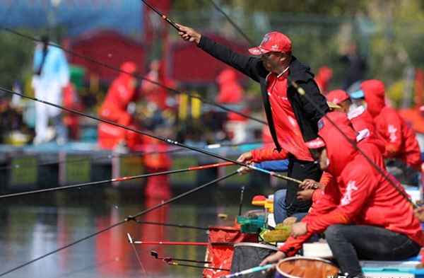 玉米淀粉今日最新报价;玉米淀粉现货今日行情