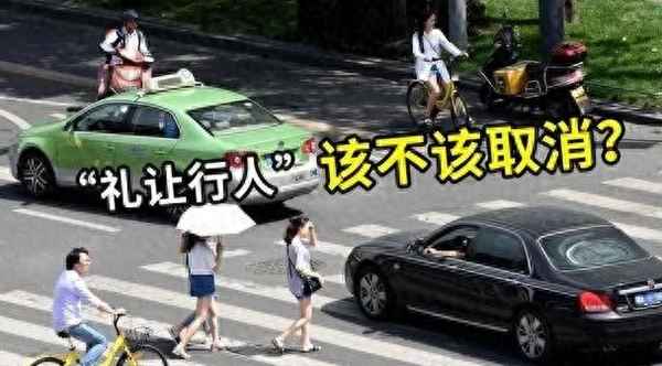 行人保護(hù)裝置怎么關(guān)閉-行人保護(hù)裝置圖標(biāo)