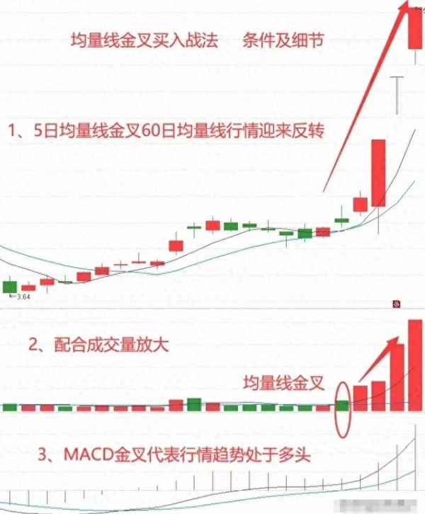 财经玲妹妹;财经林妹妹叫什么