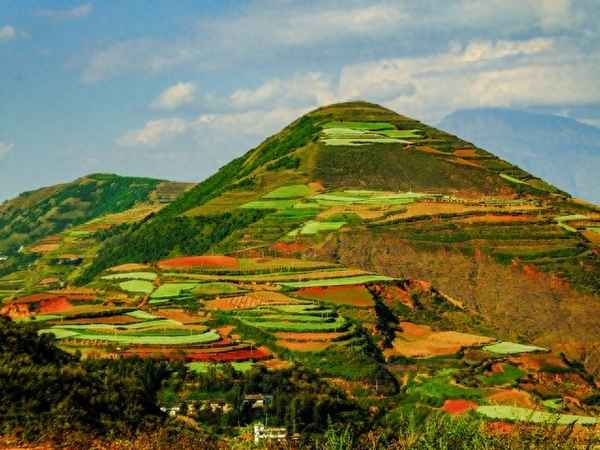 《我爱这土地》诗歌鉴赏,我爱这土地解析全解