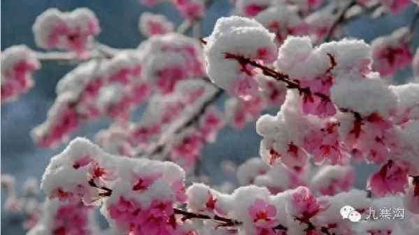 三月九寨沟的样子是什么,三月九寨沟风景