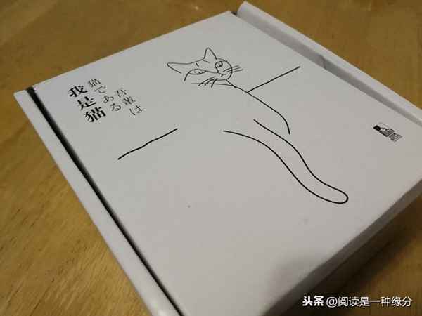 我是貓讀后感初二300字作文(我是貓讓我明白了什么)