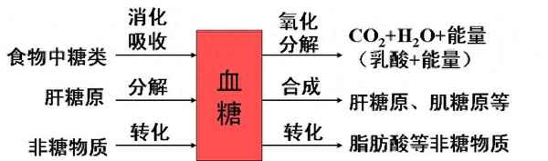 高中生物第二章知識點總結,高中生物第二章知識點總結圖