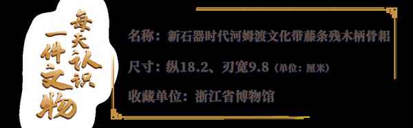 上山遺址與河姆渡遺址_上山遺址與河姆渡遺址區別
