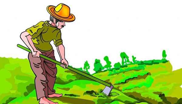 悯农古诗其一作者是谁,悯农其二作者是谁代的