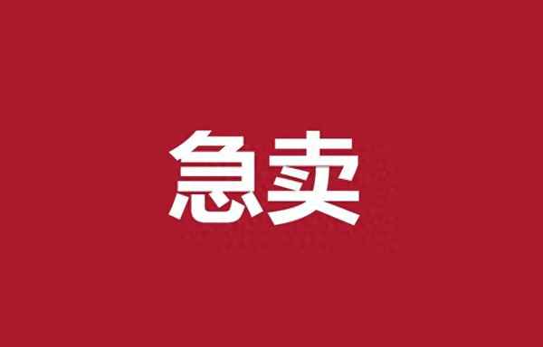 个人怎么卖房子最快_个人怎么卖房子最快的方法销售