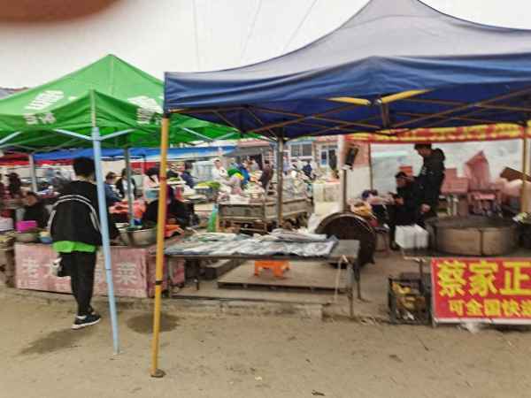 双台子温泉二手房(双台子温泉小镇房价)