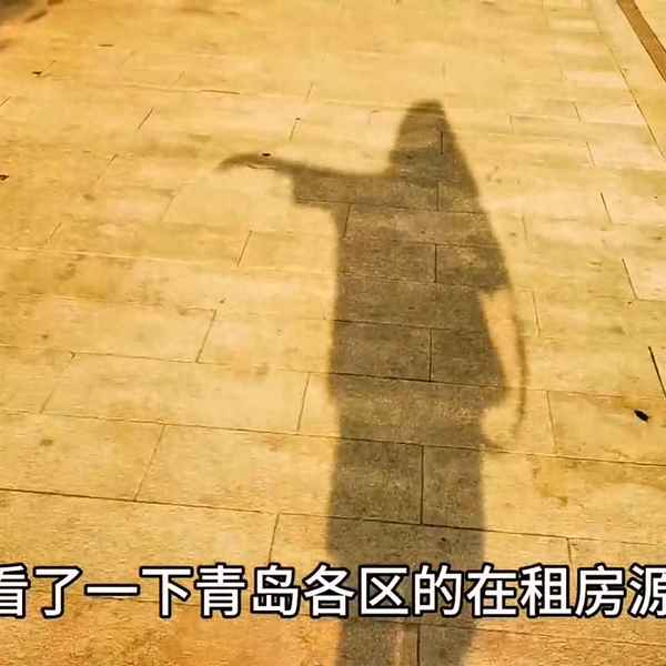 青岛单身公寓整租房价格(南京单身公寓租房)