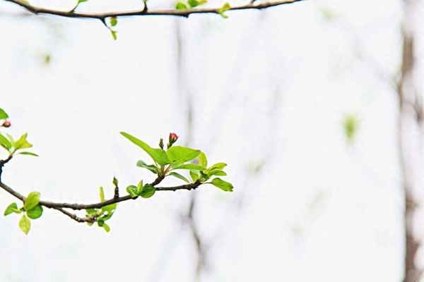 骄阳似火优美造句大全_骄阳似火如何造句