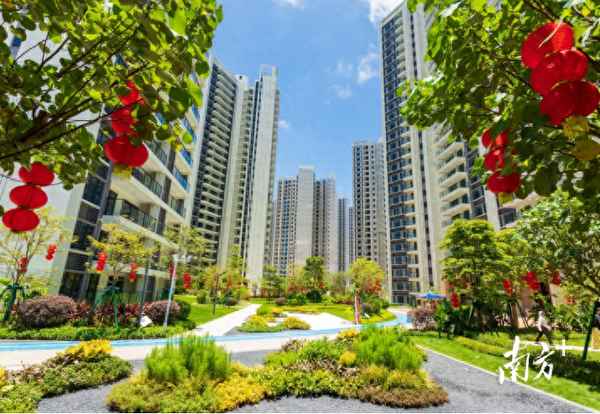 碧桂园房产最新消息_碧桂园房产最新消息官网