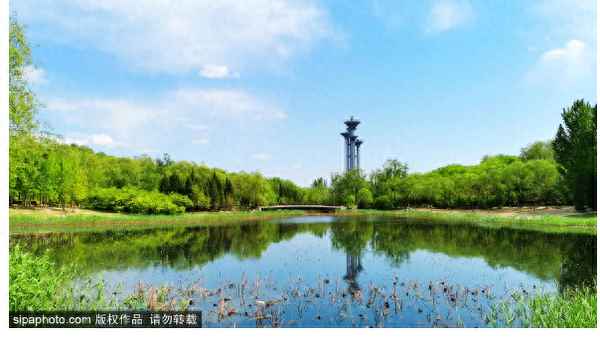 奧林匹克森林公園門票多少錢—奧林匹克森林公園 營業時間