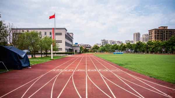 用點面結(jié)合的方法寫運動會的場面、用點面結(jié)合的方法寫運動會的場面一百字作文