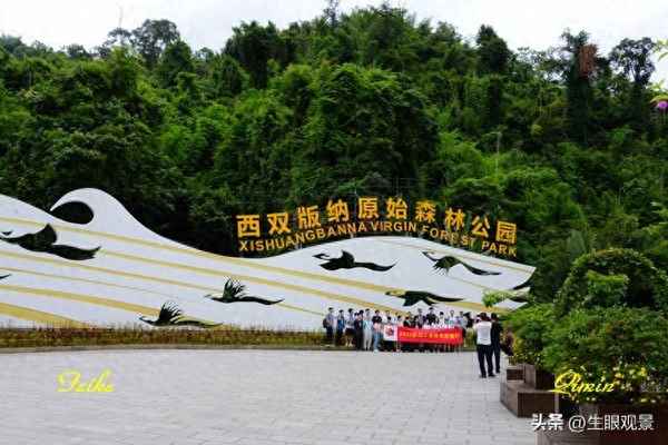 原始森林公園介紹_原始森林公園介紹資料