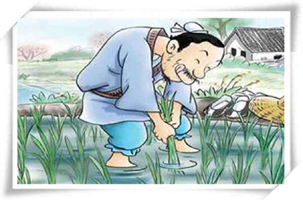 關(guān)于邯鄲學(xué)步的一些寓言—邯鄲學(xué)步的寓言故事是什么