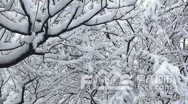 萊蕪房產(chǎn)網(wǎng)二手房出售;萊蕪房產(chǎn)網(wǎng)二手房出售20萬(wàn)以下