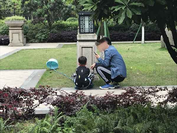 電玩城飛鳥樂園在線玩,飛鳥游樂園