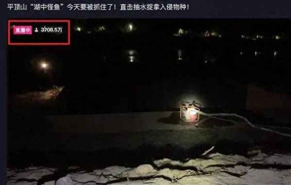 平頂山海洋館怎么樣值得去嗎、平頂山海洋館在哪里