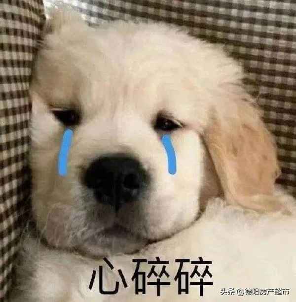 德阳房产网官网-德阳房产网官网网址