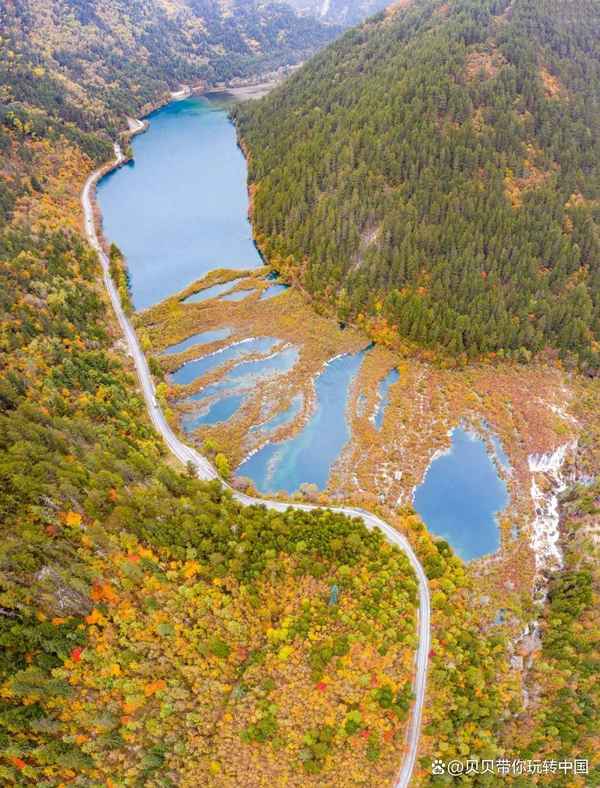 九寨沟自由行攻略最详细_九寨沟一日游最佳路线图